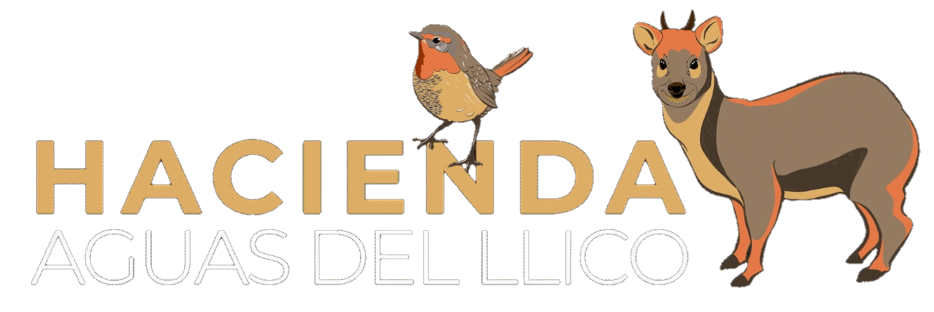 Hacienda aguas del llico